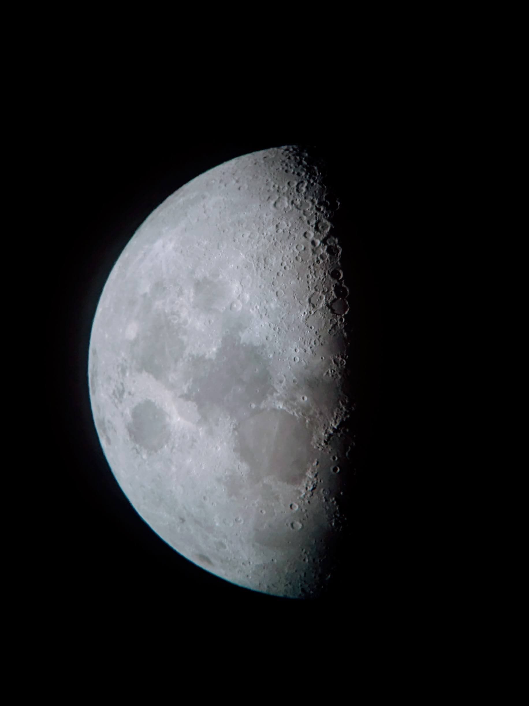 Detailed moon captured against black sky.